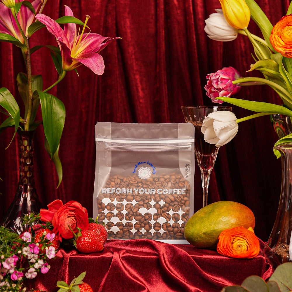 2025 Aeropress Şampiyona Kahvesi La Divisa